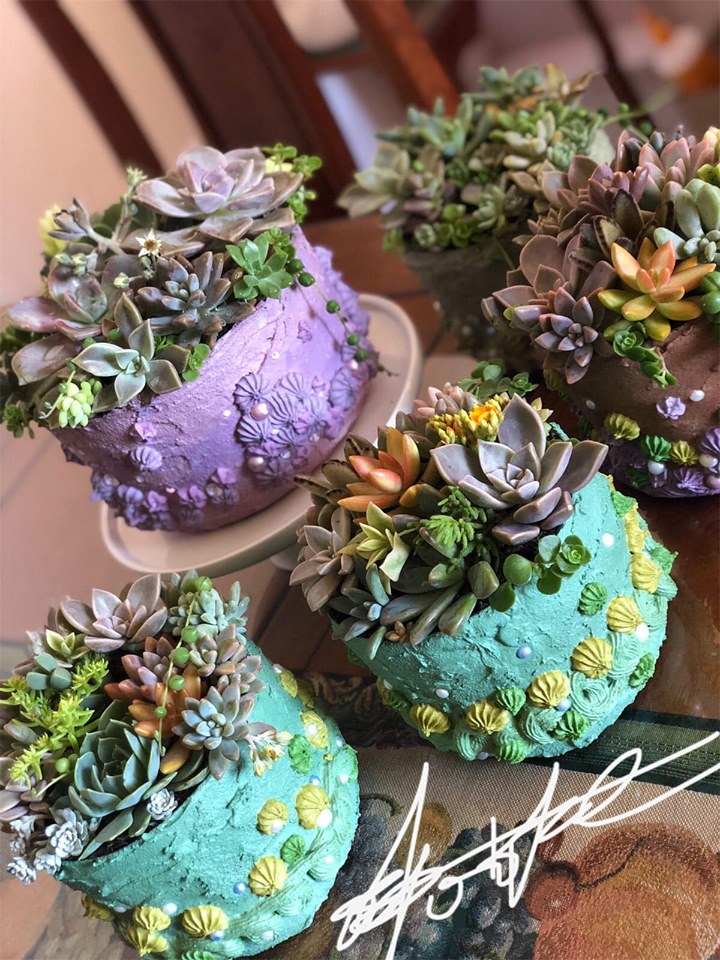 How to make buttercream succulents - a comprehensive guide