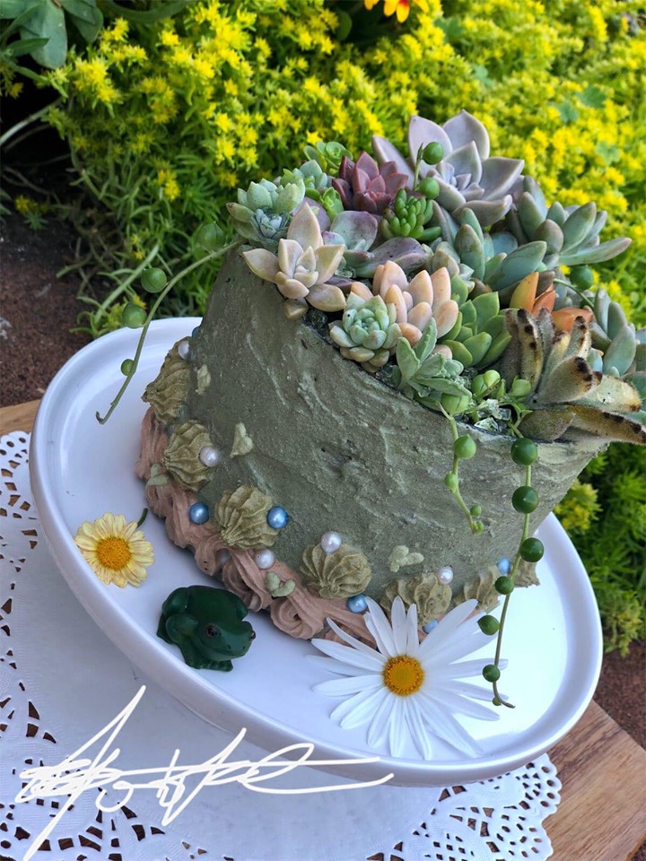 succulent plants cake